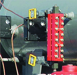 redvalve